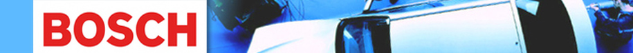 bosch tagliando